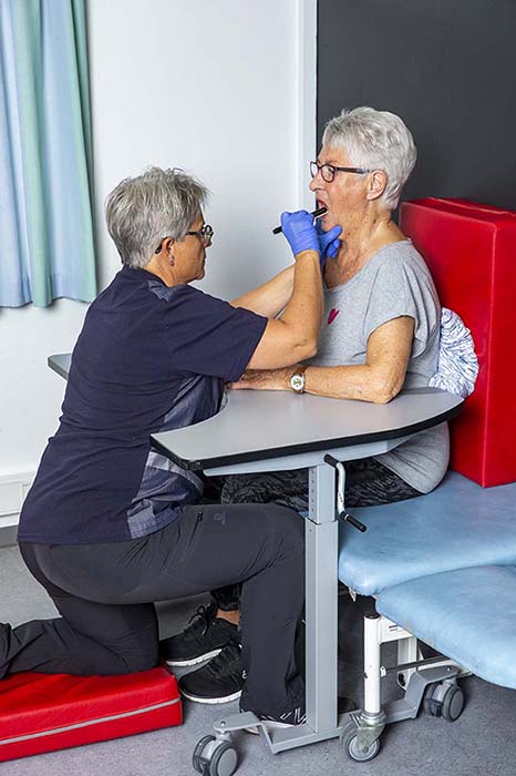 Visual Mouth Examination Using the ErgoMulti Table Ropox
